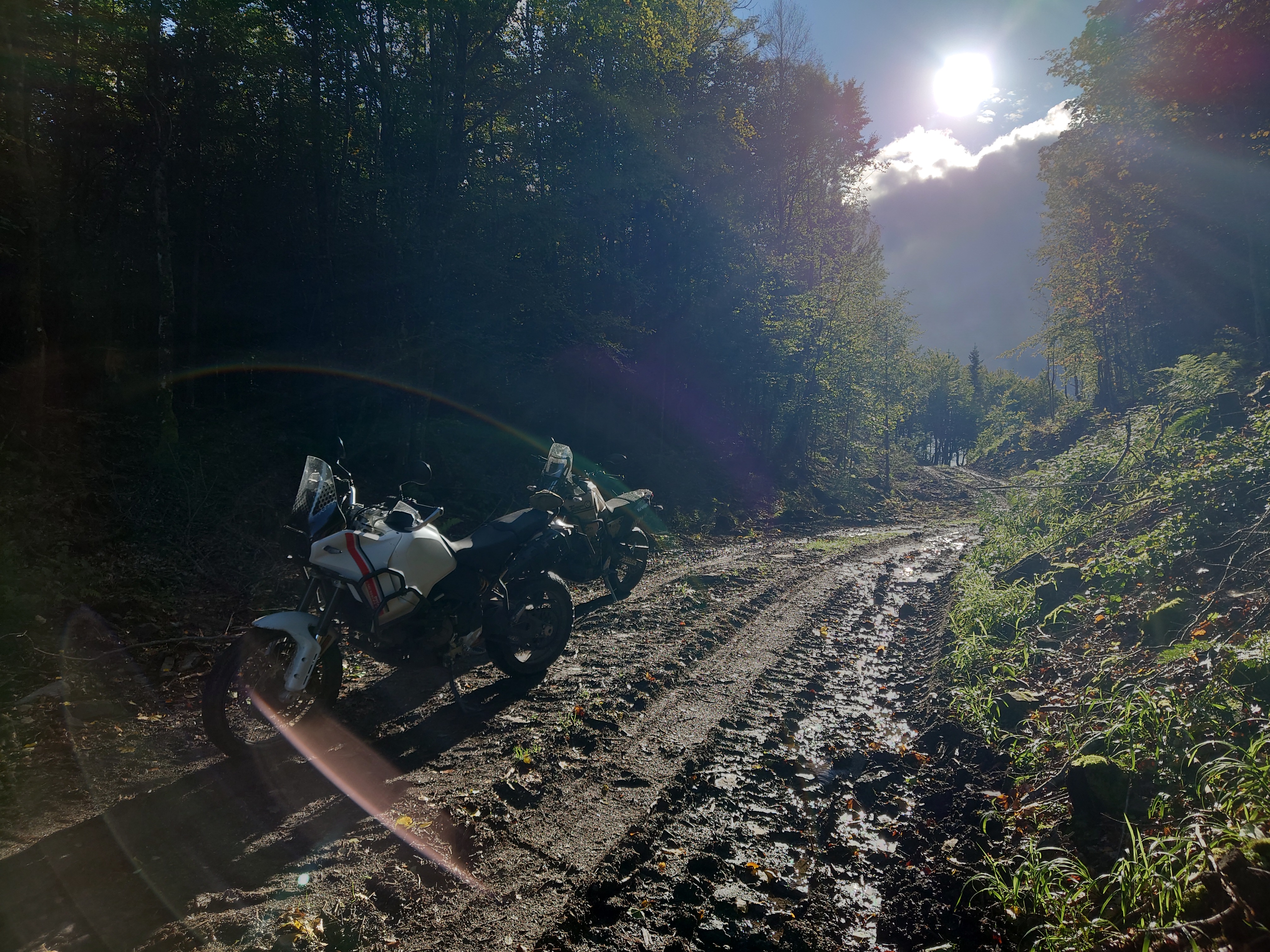 Bikes on a muddy road